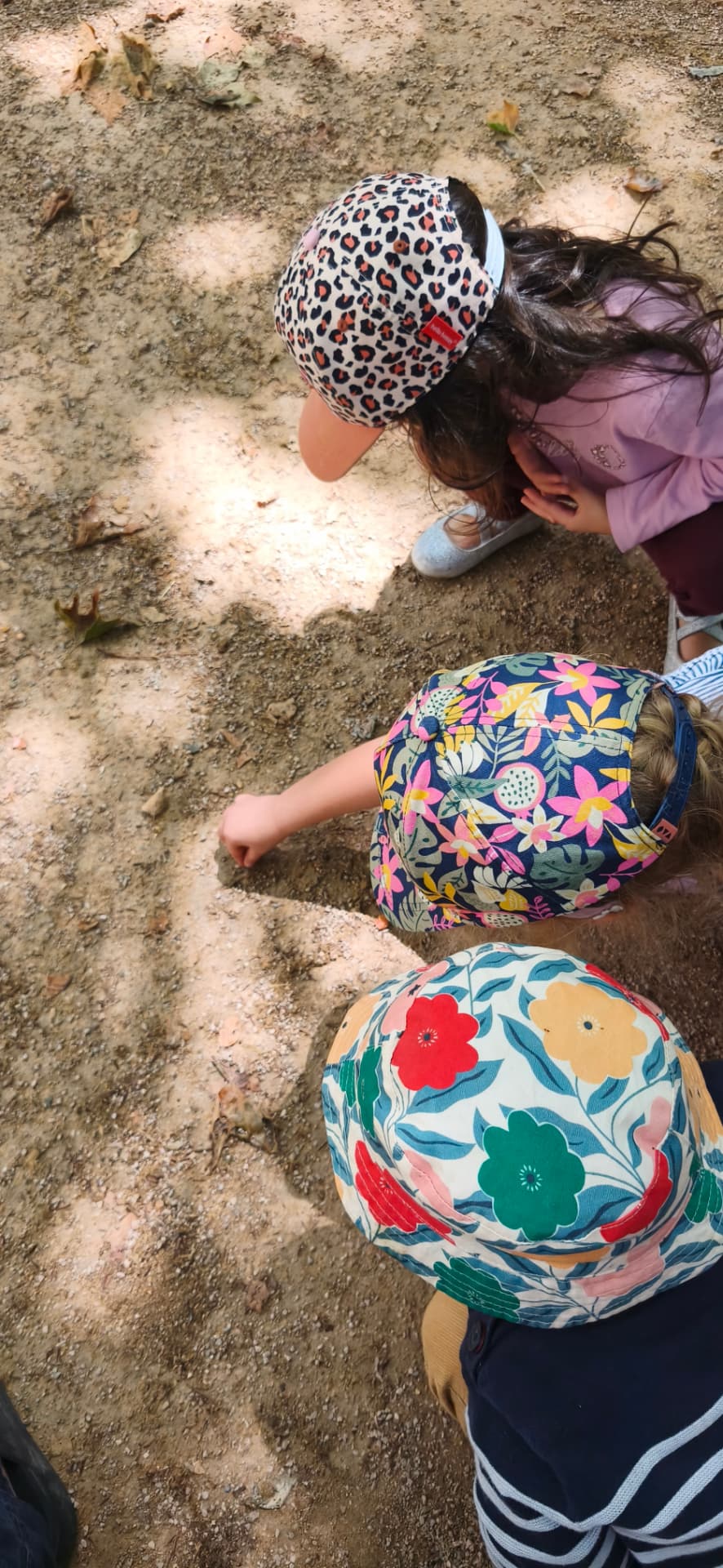 Vue de dessus : trois enfants en casquette, penchés au sol, observent ensemble quelque chose dans la terre